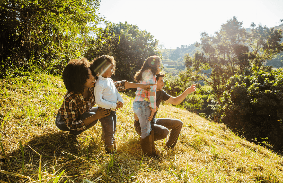 5 Reasons To Consider Outdoor Education For Children! - Idori