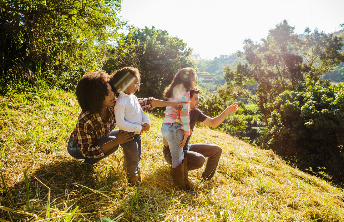 5 Reasons To Consider Outdoor Education For Children!