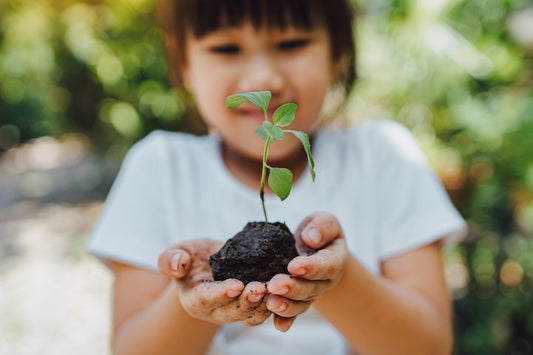 Reasons Why Children Should Learn about Sustainability