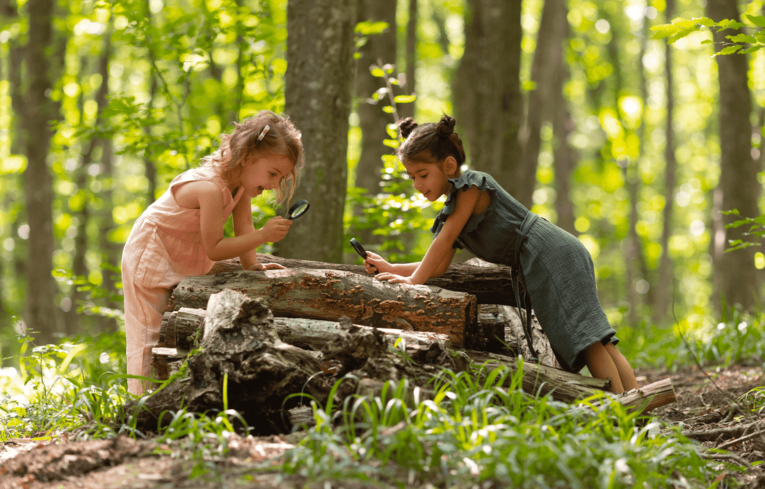 How do I inspire my child to care about nature? - Idori